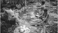 Life in Samoa, 1950's