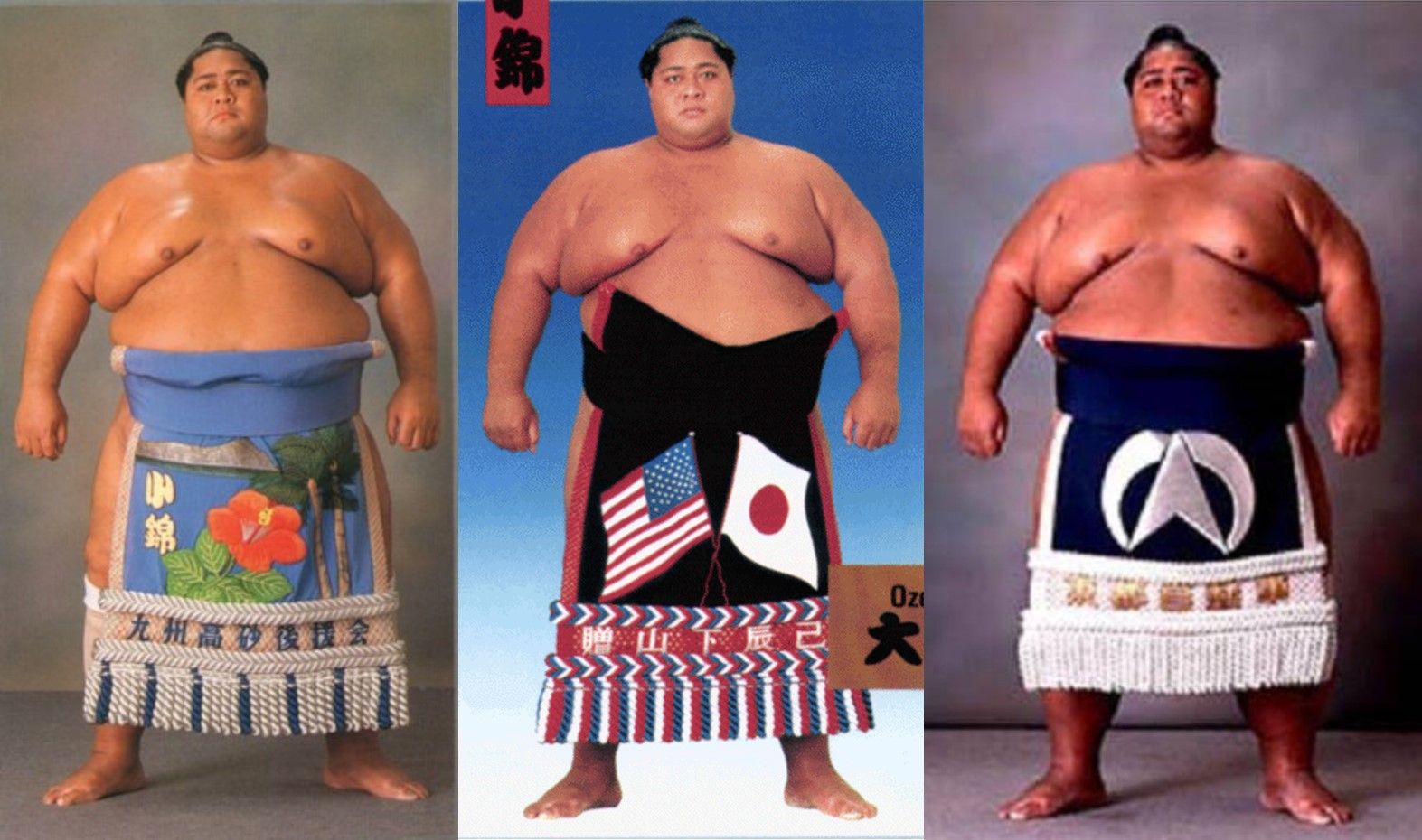 Sumo Wrestlers Characters  AnimePlanet