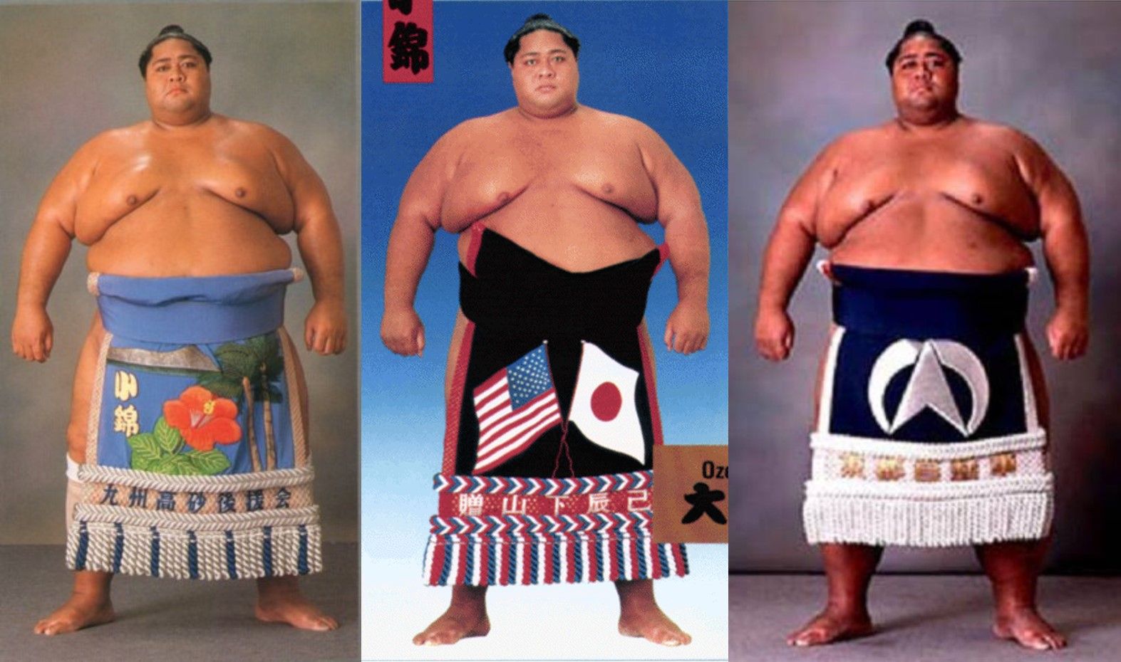 Sumo Wrestling Anime