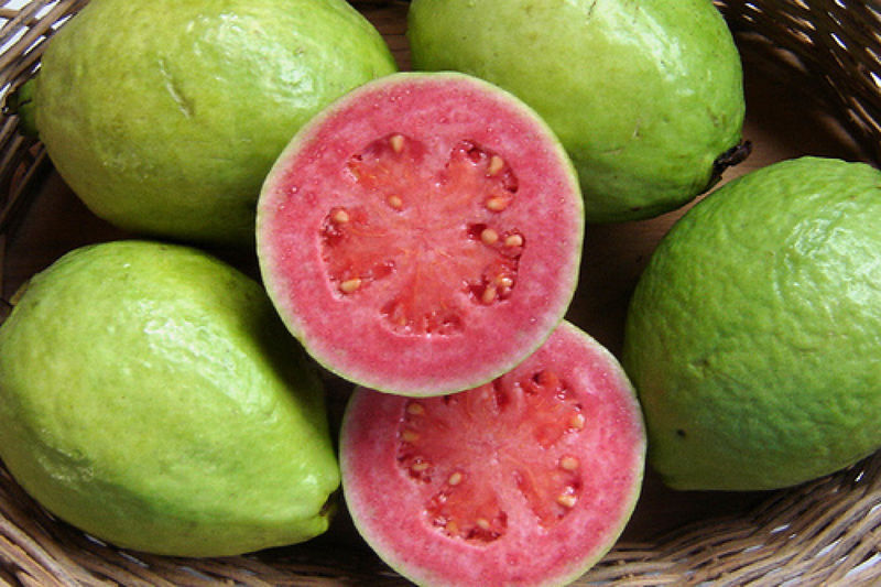 The Top 10 Health Benefits of Guava — thecoconet.tv - The world's largest hub of Pacific Island content.