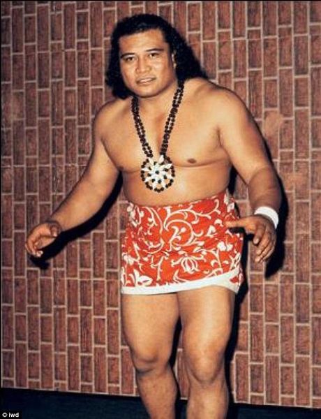 Dwayne Johnson The Rock - RoygbivR- Famous Humanoids