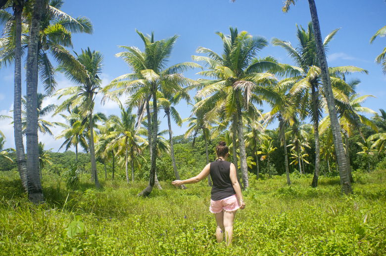 Island Life in Niue: An Expat's Perspective — thecoconet.tv - The world