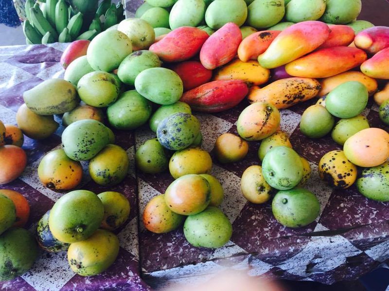 The King Of Fruit: 13 Mouthwatering Mango Varieties - Sukhi's
