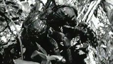 Poly-Archive: A Journey through the South Seas: Canoes and Coconut Crabs (1960)