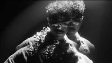LEAO - LALELEI
