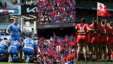 GALLERY:  PACIFIC CHAMPIONSHIPS - SAMOA, TONGA & KIWIS at EDEN PARK 