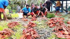 THE TRADITION OF TUA KAI - PUKAPUKA, COOK ISLANDS 