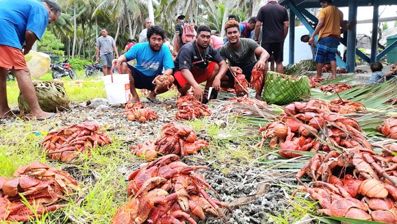 Photo for THE TRADITION OF TUA KAI - PUKAPUKA, COOK ISLANDS