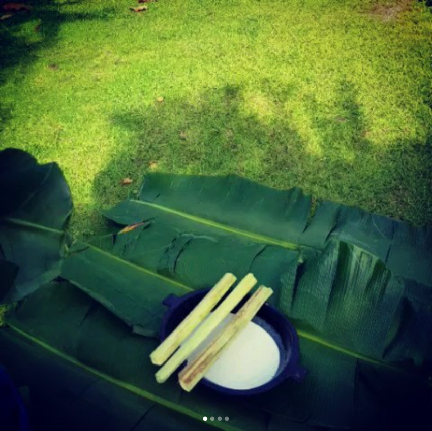 Beginning the process of making fa'ausi flavoured gelato