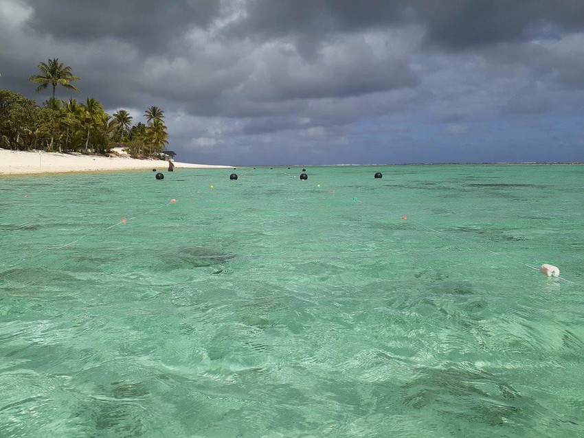 Swimming Lanes - Cook Island Games Photo Credit: Cook Islands Aquatics Federation