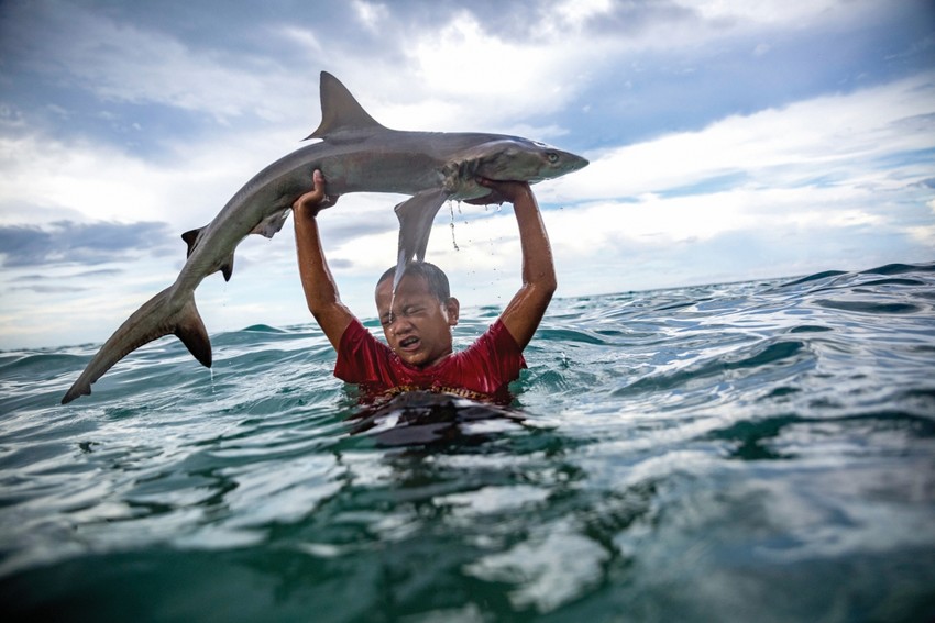 A little boy in Tokelau holds up a shark he's caught