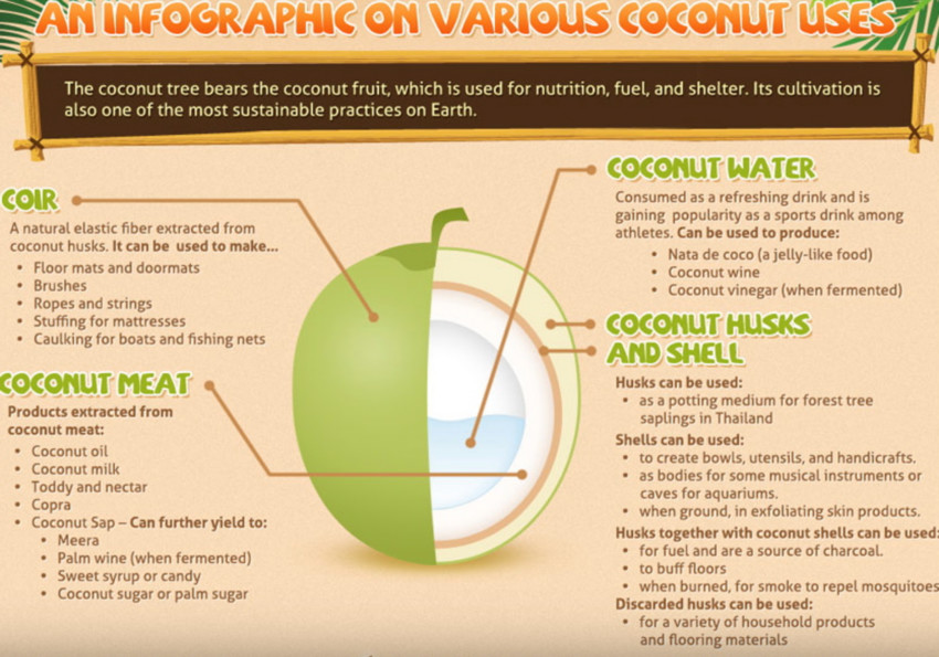 Uses for Coconuts