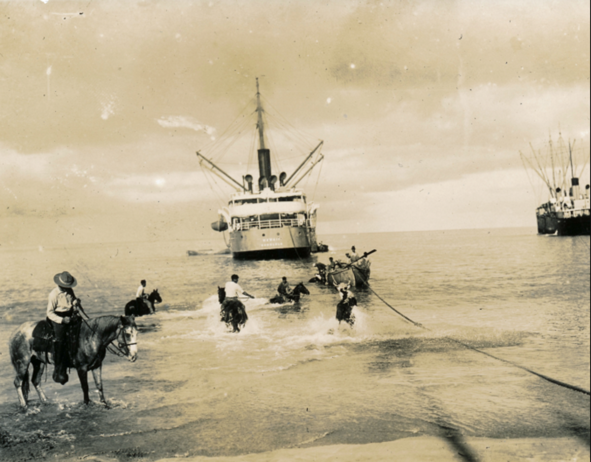Hawaiian Cowboys - The Little Known History of Paniolo — thecoconet.tv - The world's largest hub of Pacific Island content. - Vimarsana News