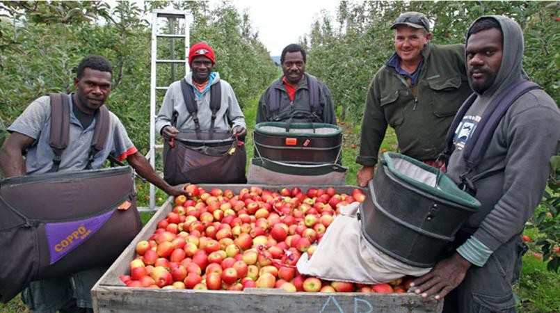 Photo Credit: Vanuatu Loop