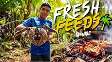 How To Catch & Cook An Uga In Niue | Fresh Feeds
