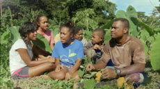 The Naqaqa Family Farm, Fiji