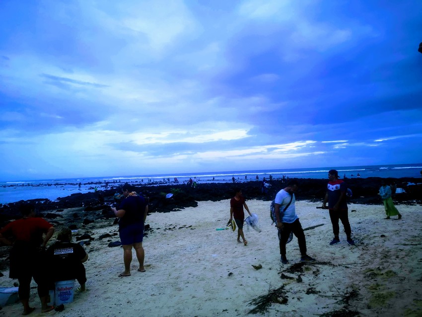 People returning from palolo hunting