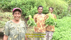 Women in Agriculture