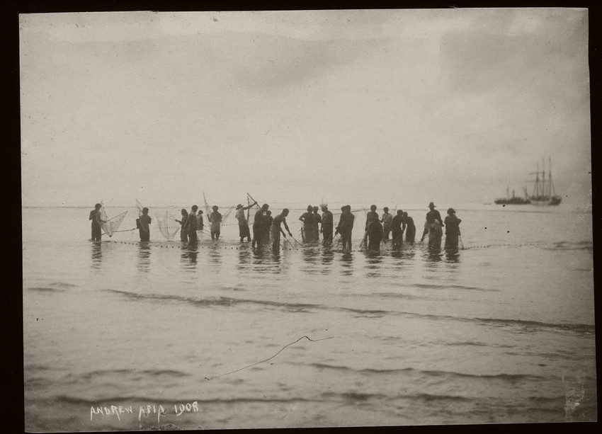 Net fishing Samoa. Photo by Thomas Andrew