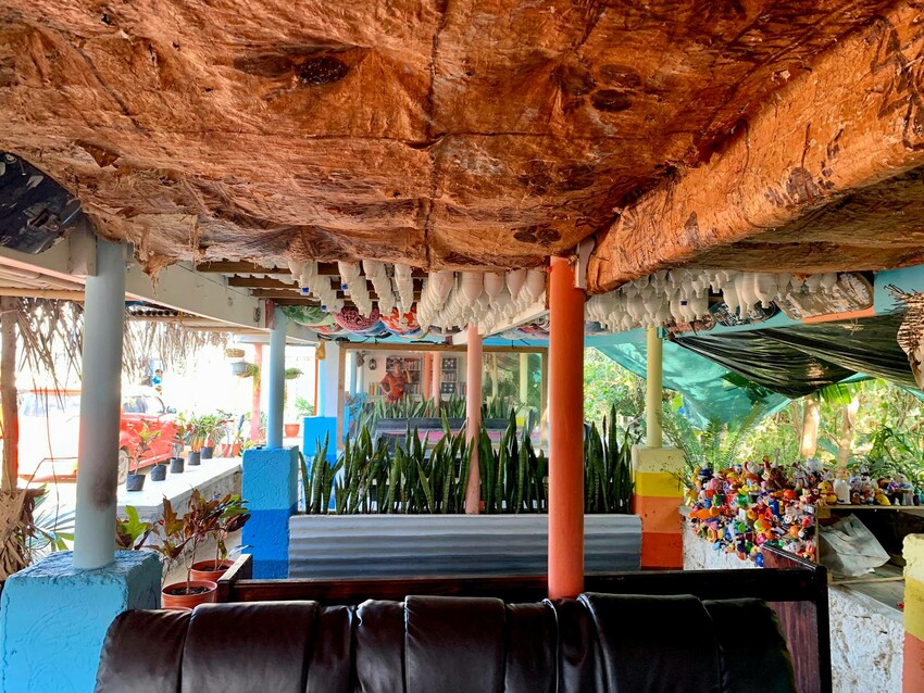 Selekā studio, in Havelu, Tongatapu. Photo: Facebook / Seleka International Art Society Initiative - SIASI