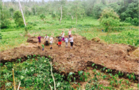 Samoa's ancient 'Star Mounds' 