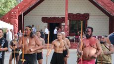 Where do Pasifika fit in the Treaty of Waitangi?