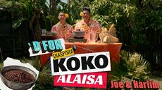 How To Make Koko Alaisa As A Diasporan | D For Diaspora