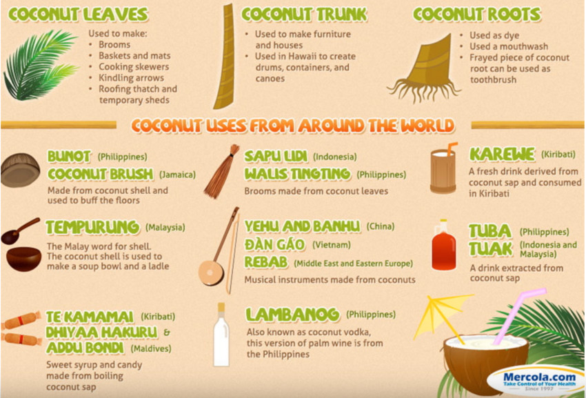Uses for Coconuts around the world