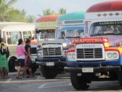 Island Transport - The Funky Buses & Taxies