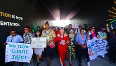 COP27: Money, Lobbyists and The Pacific Presence 
