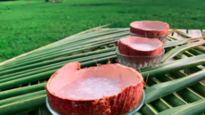 Kuka! Tastes of Beautiful Samoa - Vaisalo