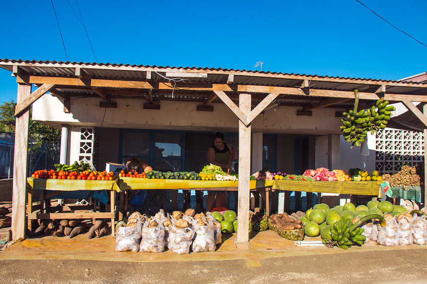 Fruit & Vege roadside stalls in Tonga