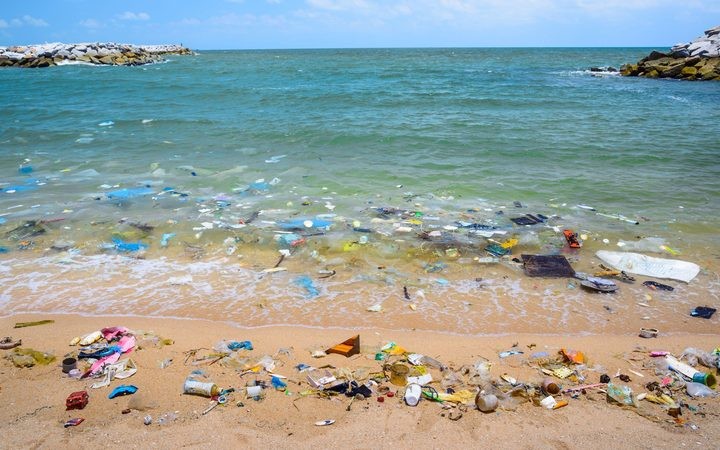 Plastics washed ashore on a beach. Pic via RNZ