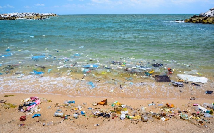 Plastics washed ashore on a beach. Pic via RNZ