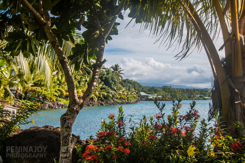 The ocean is our backyard