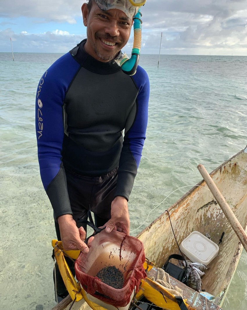 Palolo in Savai'i - photo credit Elisabeth Siaosi