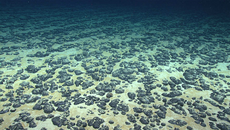 Deep Sea Mining in American Samoa: What You Need to Know