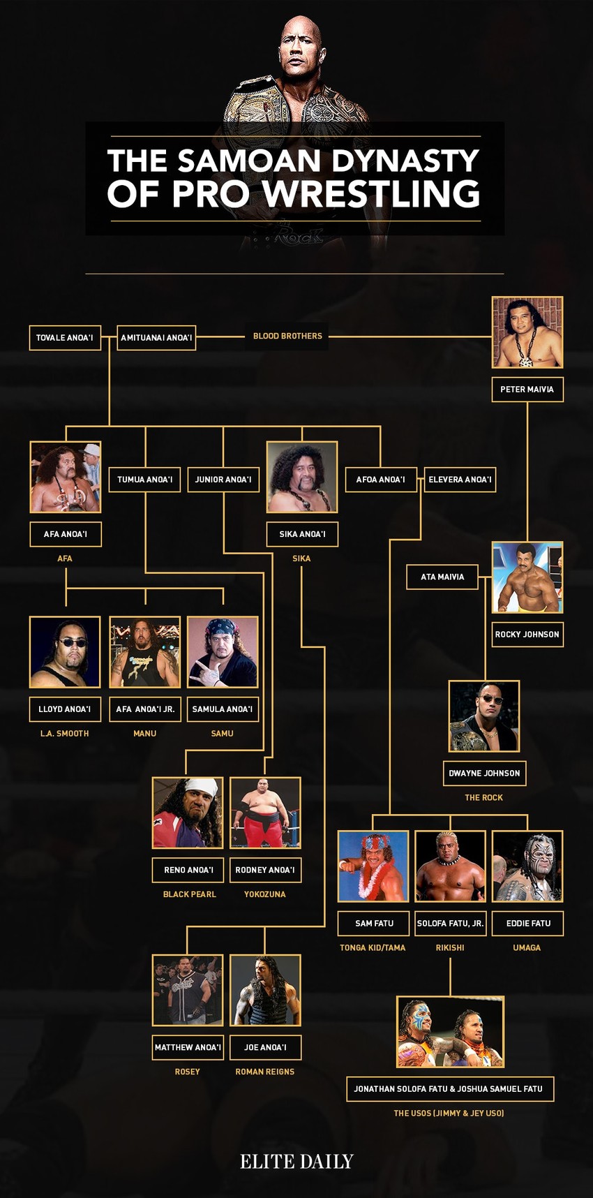 Roman Reigns Family Tree Roman Reigns Family Tree