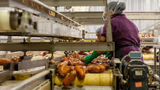 Pacific workers earn $6.68 less an hour than European workers, Stats NZ data shows