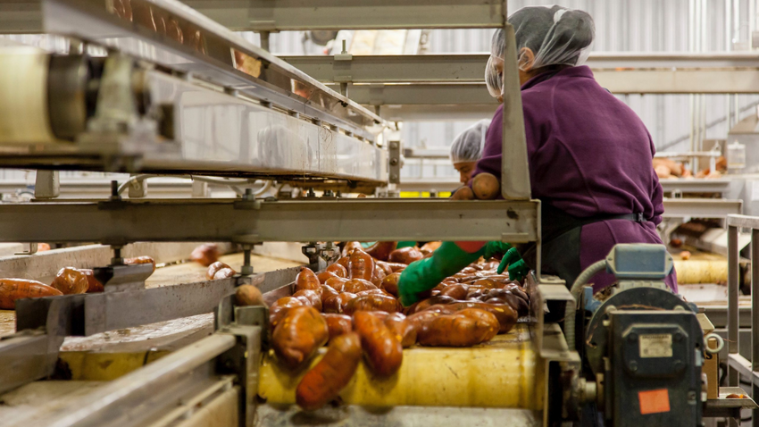 Pacific workers earn $6.68 less an hour than European workers, Stats NZ ...