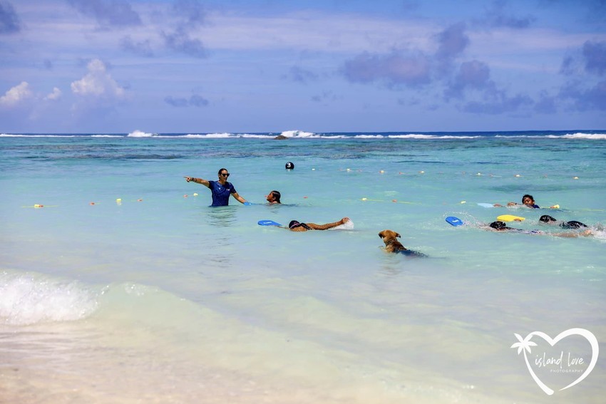 Lesley in the water with swimming students Photo Credit: Island love Photography