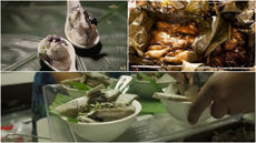 TAKURUA - The ultimate traditional feast in Rarotonga!