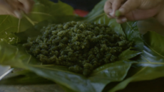 Seaweed superfood of the Pacific Islands