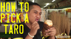 How To: Pick a Taro