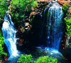 Poly postcard: From The Top End-Darwin 
