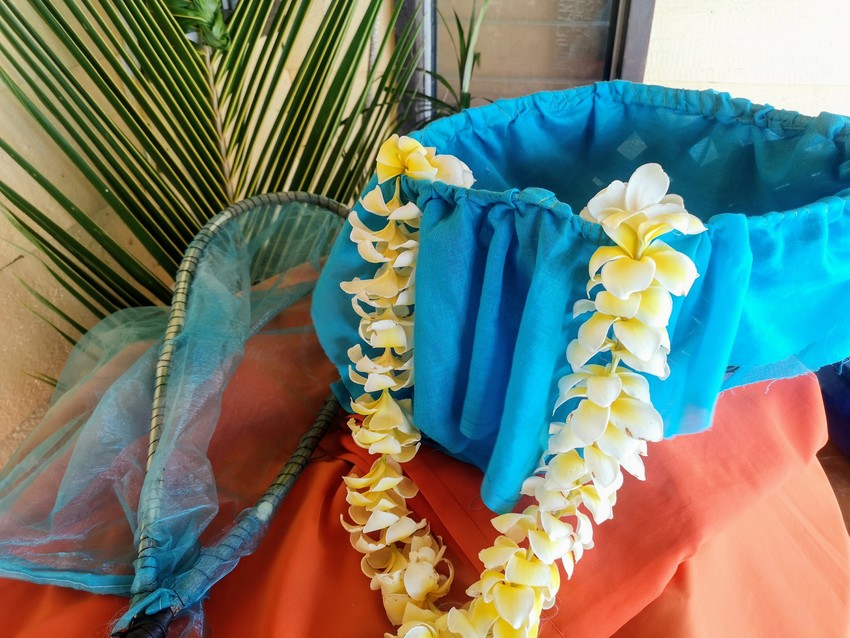 Palolo Kit