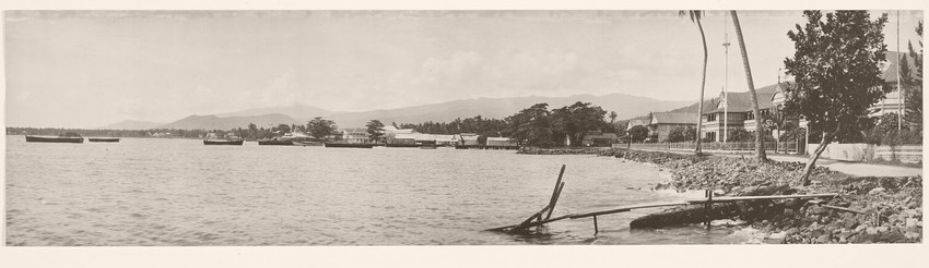 Harbour Scene. Photo by Thomas Andrew