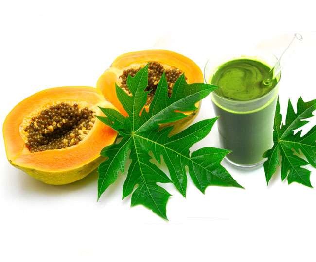 Pawpaw leaves juice cures dengue fever