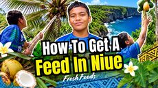 How To Get A Feed In Niue | Fresh Feeds