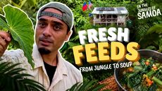Cooking Lunch In The Jungles Of Samoa | Fresh Feeds